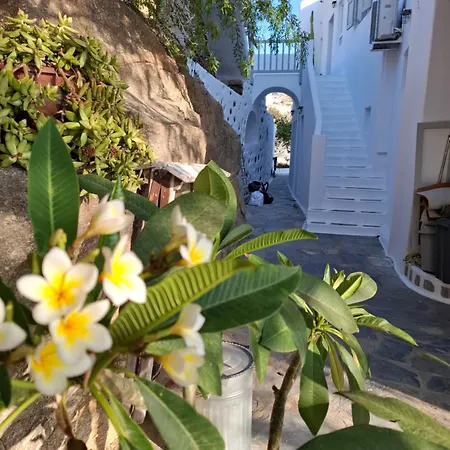 Appartement Gazia Sea View House - *